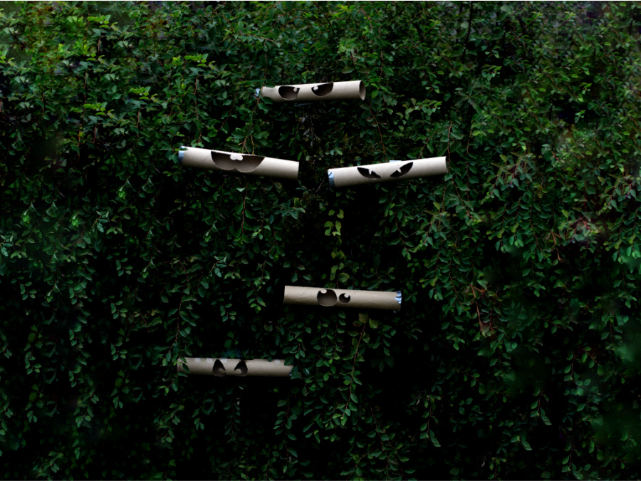 paper towel cardboard rolls with eyes cut out, hanging in bushes