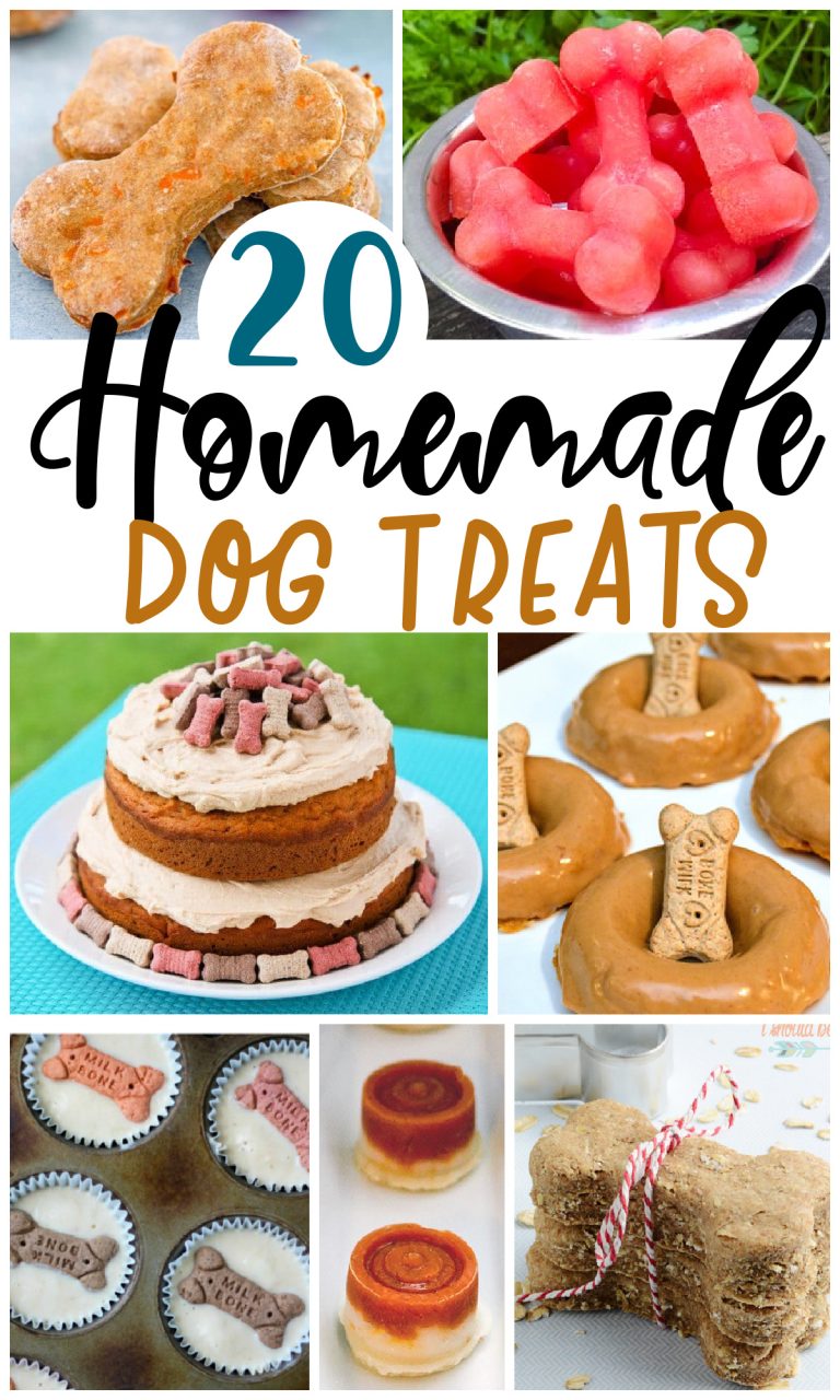 20 Homemade Dog Treats