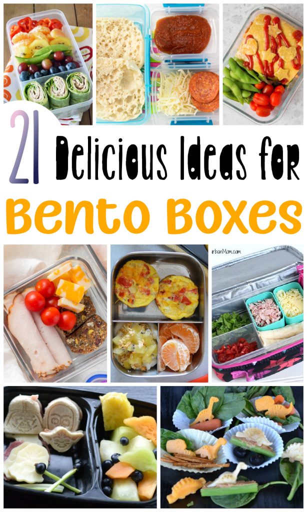 collage image of different lunch box ideas