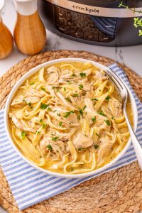 Slow Cooker Chicken and Noodles in a bowl