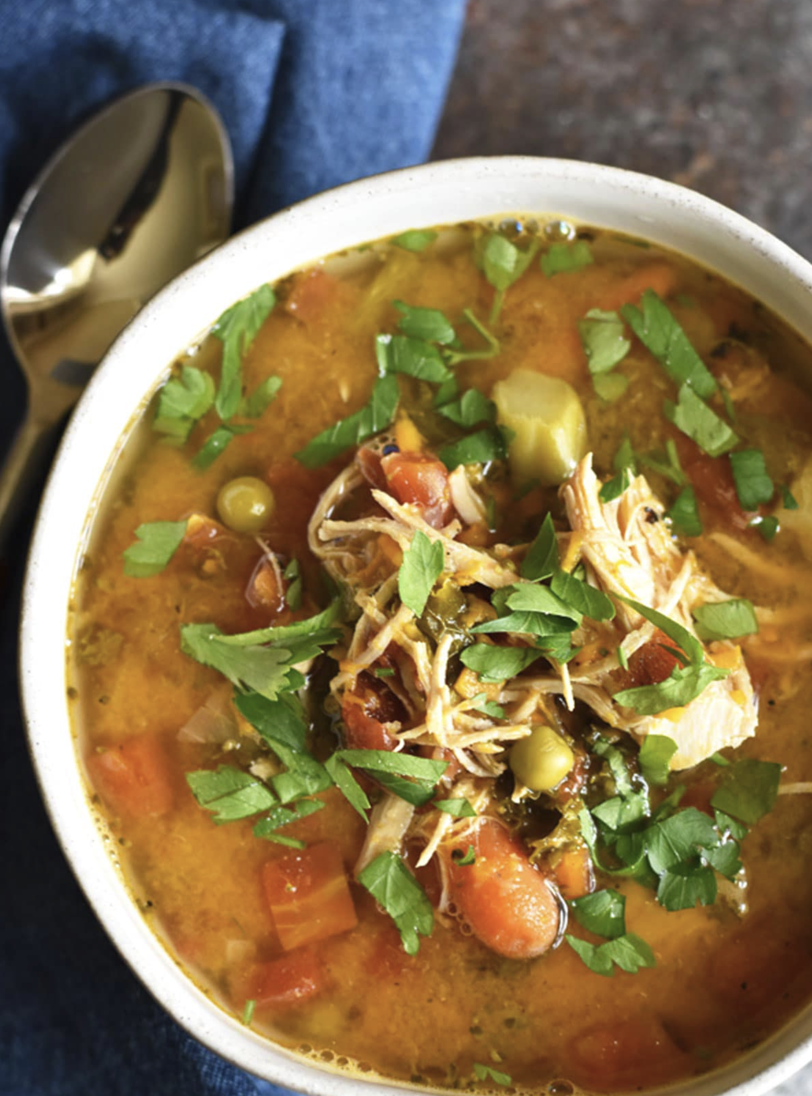 chicken vegetable soup